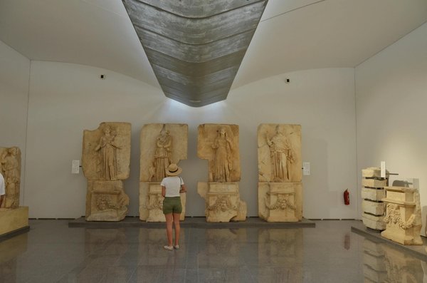 Quels sont les bénéfices des systèmes agroforestiers pour la biodiversité locale ?